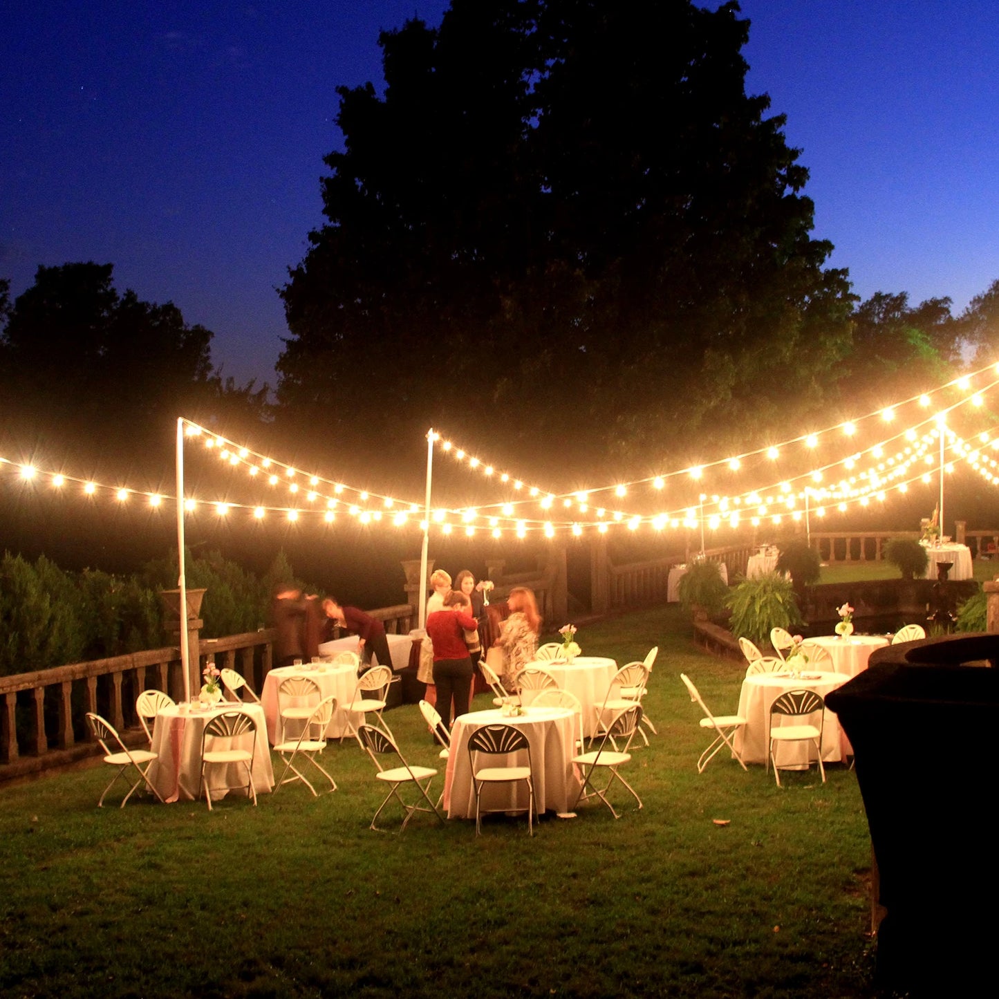 100FT ST38 LED Globe String Lights, 24 Bulbs 2700K Warm White, E12 High Voltage, Black Cable with Hooks & Replaceable Line